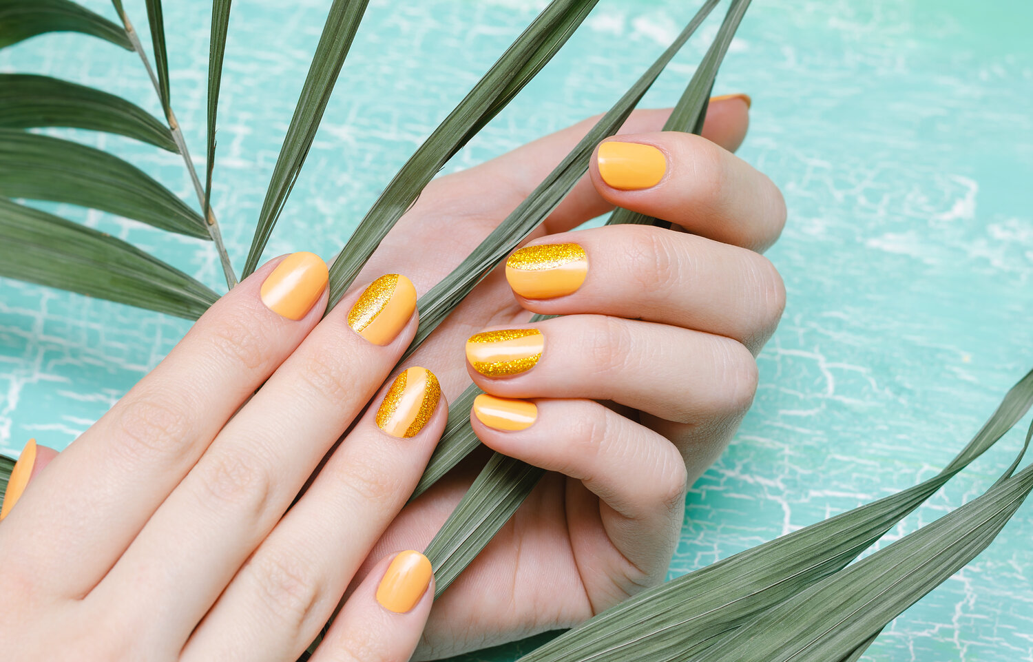 Nail Box in Louisville, KY 40207 | Shelbyville Rd